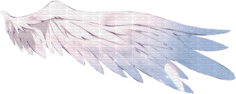 Cartoon Angel Wings PNG