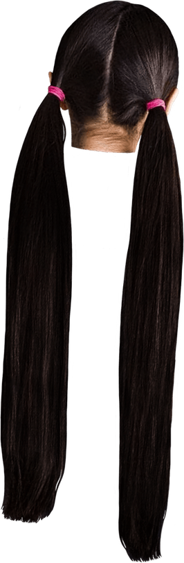 Ponytail PNG