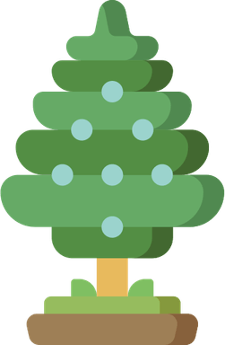 Juniper Tree PNG