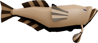 Stargazer Fish PNG