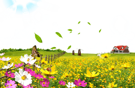 Flower Windmill PNG