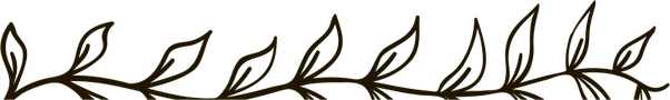Leaves Divider PNG