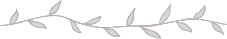 Leaves Divider PNG