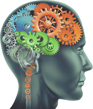 Neuro Brain PNG