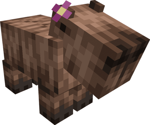 Capybara PNG