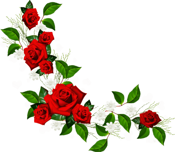 3d Flower Border PNG