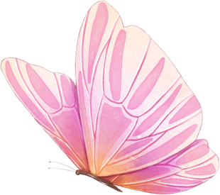 Pink And Gold Butterfly PNG
