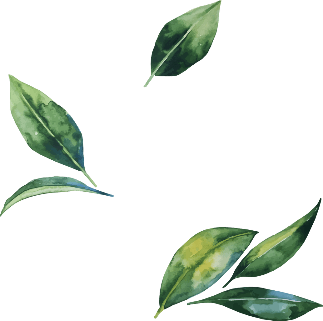 Aesthetic Leaves PNG