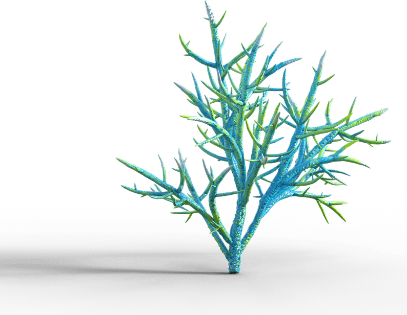 Underwater Tree PNG