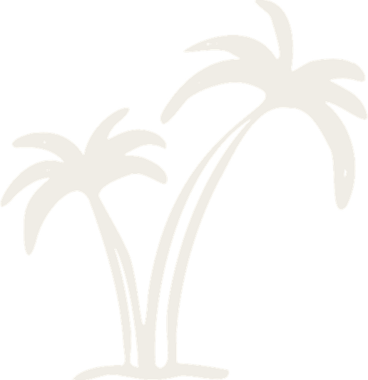 Palm Wine Tree PNG
