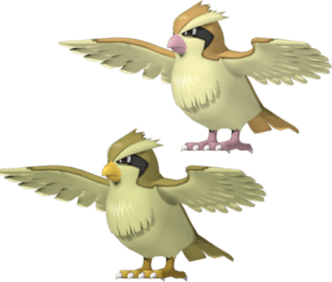 Pidgey Pokemon PNG