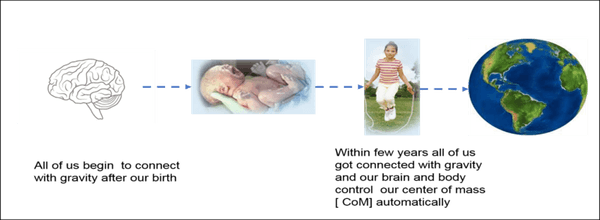 Child Brain PNG