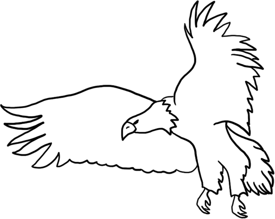 Black And White Bald Eagle PNG