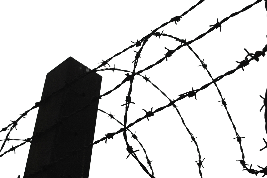 Barbwire PNG
