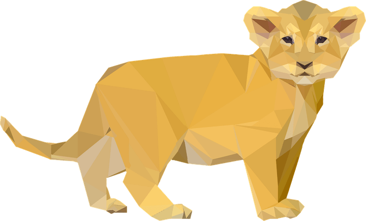 Lion Baby PNG