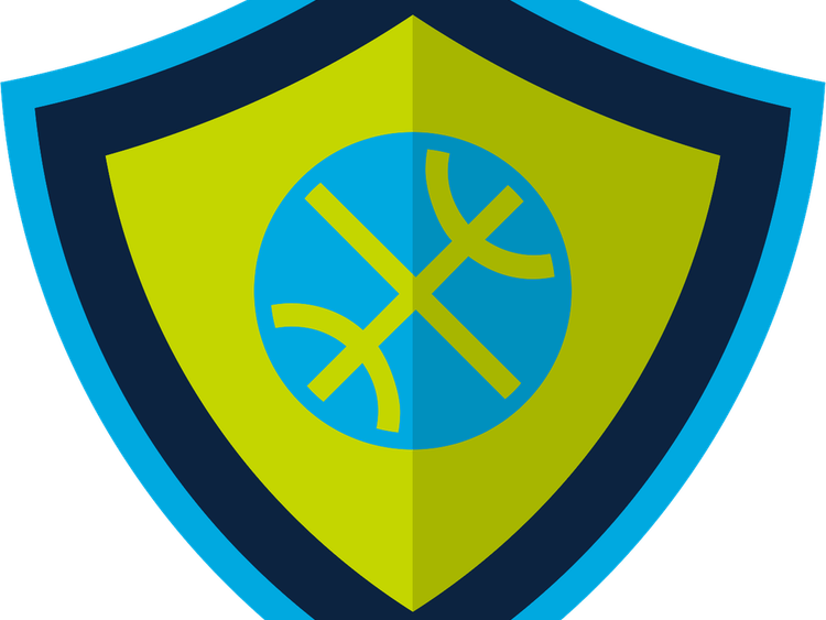 Dallas Wings PNG