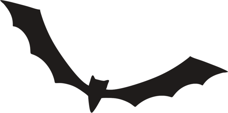 Black Bat PNG