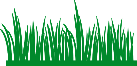 Moving Grass PNG
