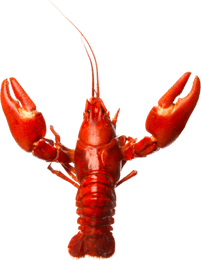 Crawfish PNG