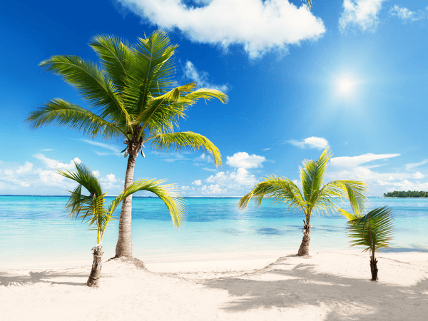 Beach PNG