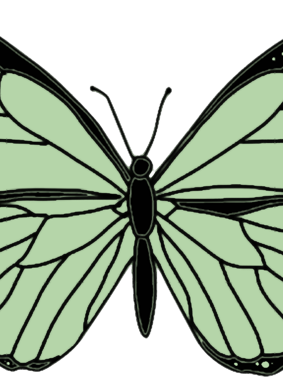 Green Butterfly PNG