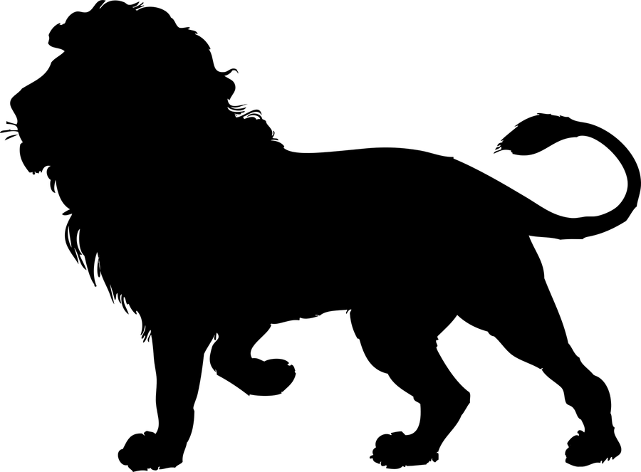 Drawing Of Lion PNG