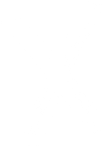 Project X Logo PNG