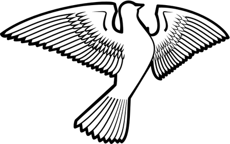 Dove Bird PNG