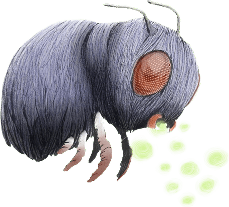 Venonat Pokemon PNG