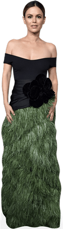 Rachel Bilson PNG