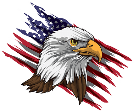 Patriot Eagle PNG