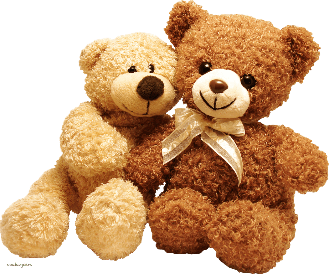 Teddy Bear PNG