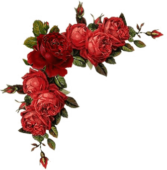 Red Roses Border PNG