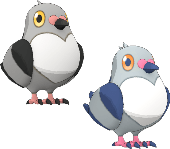 Unfezant Pokemon PNG