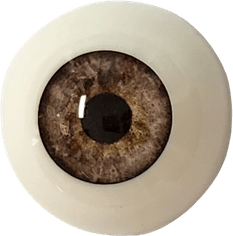 Baby Eyes PNG