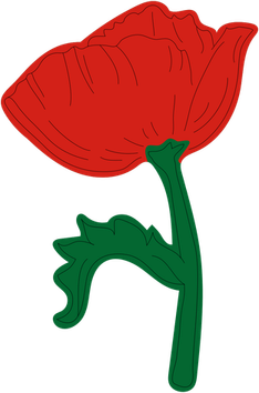 Poppy PNG