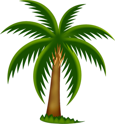 Date Palm PNG