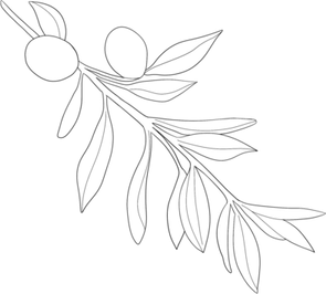 Olive Branch Black PNG