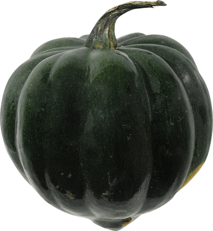Acorn PNG