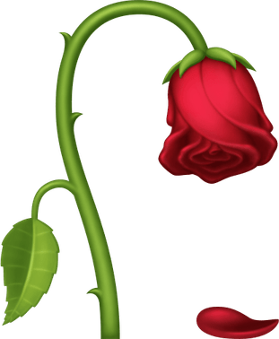 Wilted Rose PNG