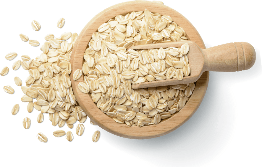 Oatmeal PNG