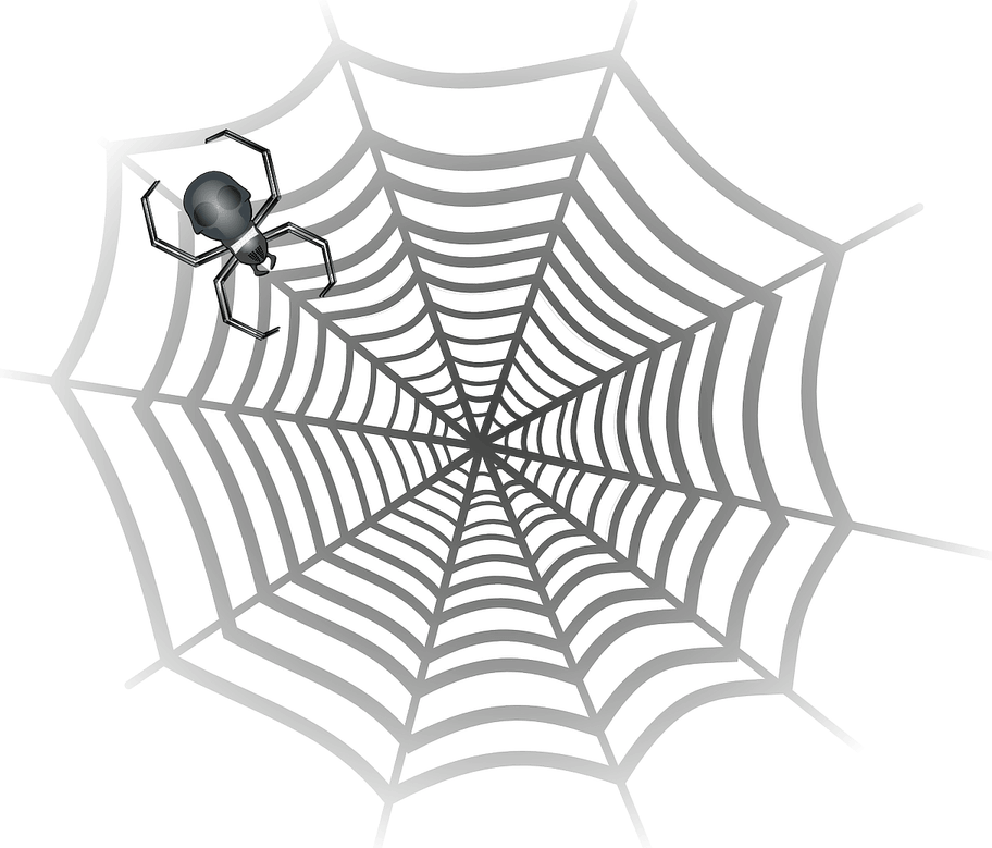 Cobweb PNG