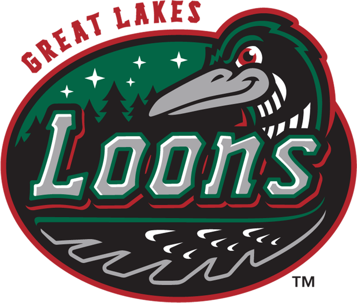 Great Lakes Loons PNG