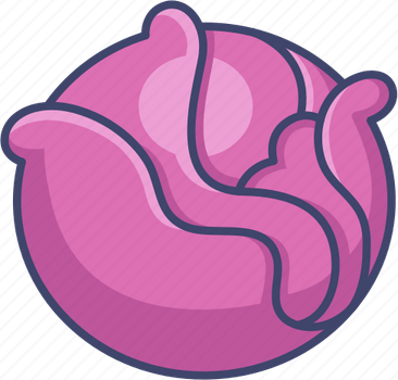 Red Cabbage PNG