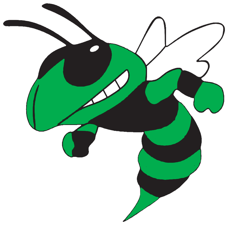 Hornets Logo PNG