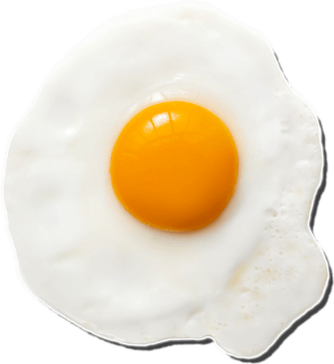 Fried Egg PNG