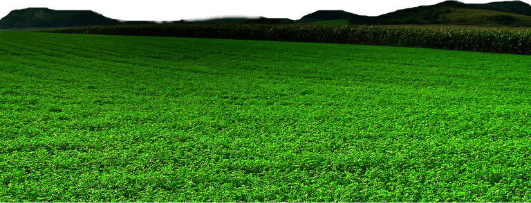 Green Land PNG
