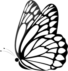 Butterfly Black PNG