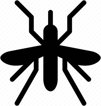 Crane Fly PNG