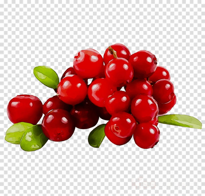 Cranberry PNG